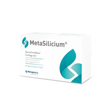 MetaSilicium
